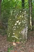 Un des menhirs de la Mancellière.
