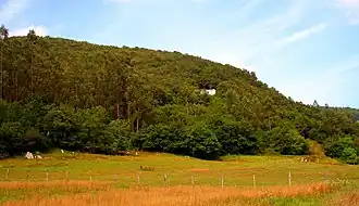 Image illustrative de l’article Grottes de La Garma