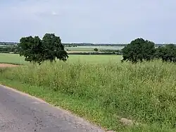 Photographie montrant un paysage de champs et de bois depuis une colline.