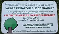 Le panneau d'attribution du label d'arbre remarquable.