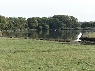 Image illustrative de l’article Étang et prairies humides de Tiolet