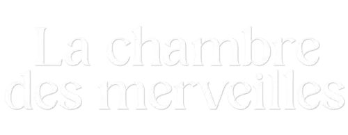 Description de l'image La Chambre des merveilles.png.