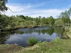 Les tourbières de La Chapelle-Grésignac, dans le nord-ouest.