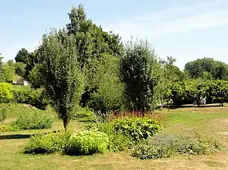 Image illustrative de l’article Parc de Samara