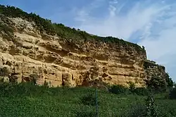 Ilots calcaires internes : Île de la Dive à Saint-Michel-en-l'Herm.