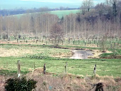 Méandre de la Noye en aval du village.