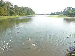 La ria de La Forêt-Fouesnant à marée haute 2.