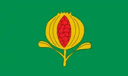 Drapeau de La Granada de Río-Tinto