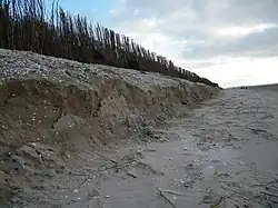 Érosion du trait de côte et protection.