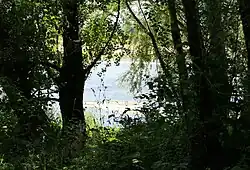 La Loire à La Motte-Saint-Jean.