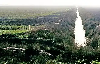 Fossé de drainage vers Isla Menor