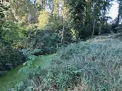 La Rize juste après la bifurcation des Terres Noires.