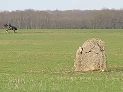 Menhir des Renards