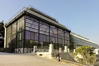 Serre de Nouvelle-Calédonie du Jardin des plantes de Paris.