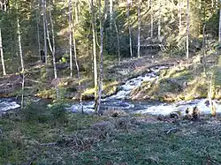 Affluent de rive droite entre Gérardmer et Kichompré.