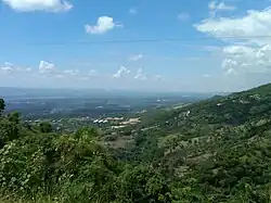 Forêts humides d'Hispaniola.