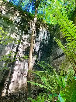 Végétation au pied des parois.