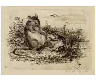 La Grenouille et le Rat, Grandville