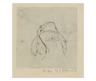 La Grenouille qui veut se faire aussi grosse que le Bœuf.