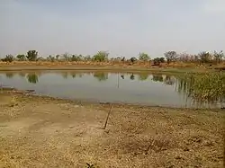 La mare Milo observée dans la ferme tatagtou à Dassari