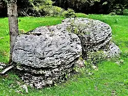 La pierre au prêtre