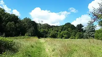 La prairie du château.