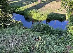 La Rize au niveau du chemin de la Rize.