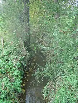 La soie à Pierrepont.