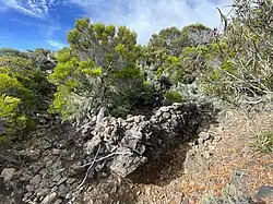 La tombe du roi Phaonce