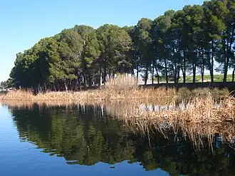 Image illustrative de l’article Lac de Sidi Mohamed Benali
