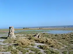 Partie marécageuse du lac Abbe en 2005.