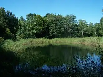 Image illustrative de l’article Lac Noir (mont Granier)