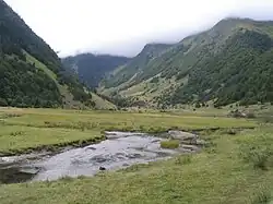 Tourbière en amont du lac d'Estaing.