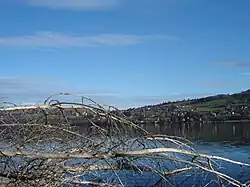 Ancienne commune du Pin.