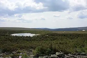 Lac sur le plateau au sommet du Mont-Albert.