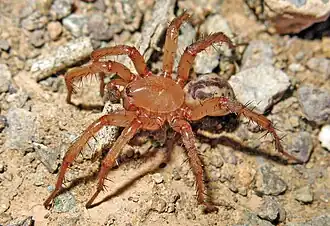 Description de cette image, également commentée ci-après