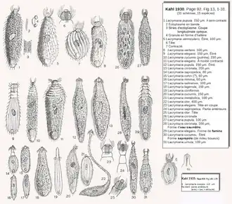 Description de cette image, également commentée ci-après