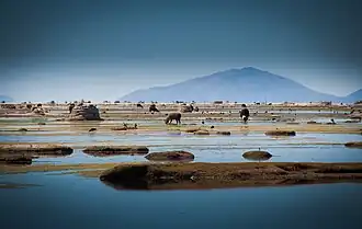 Département d'Oruro
