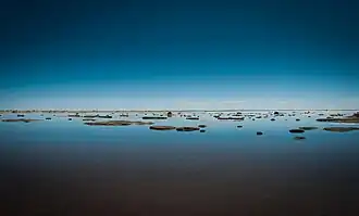 Image illustrative de l’article Lac Coipasa