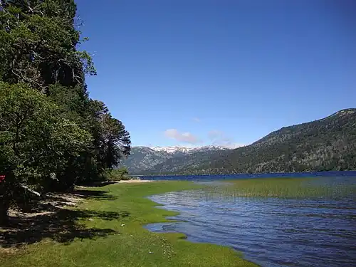 Vue du lac Rucachoroi. Entouré de bois d'araucarias et de lengas, et assez éloigné des circuits touristiques, il est un des plus beaux lacs du parc.