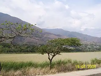 Lagunillas (Mérida)