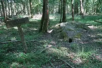 Polissoir avec cuvette.