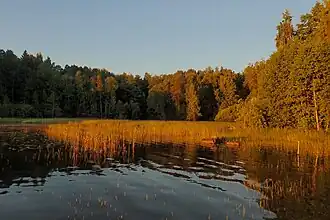 Image illustrative de l’article Kukkia