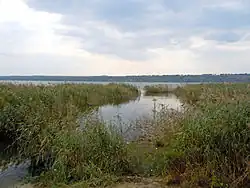 Rive du lac Yalpouh.