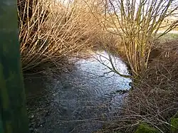 L'Airaines, rivière salmonicole, à Laleu.