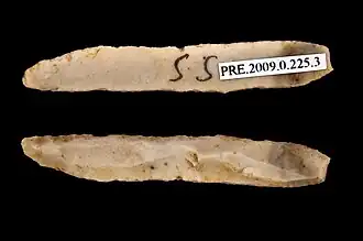 Lamelle(Muséum de Toulouse).