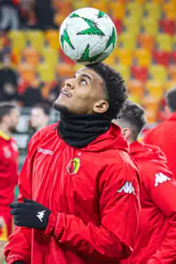 Image illustrative de l’article Lamine Diaby-Fadiga