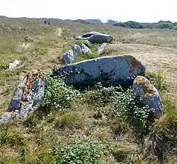 Image illustrative de l’article Allée couverte du Ribl