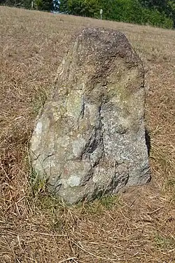 Menhir du Ribl
