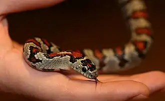 Description de cette image, également commentée ci-après